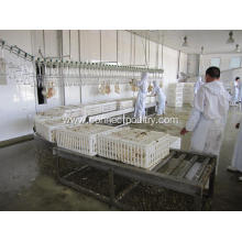 live birds Crates rolling conveyor